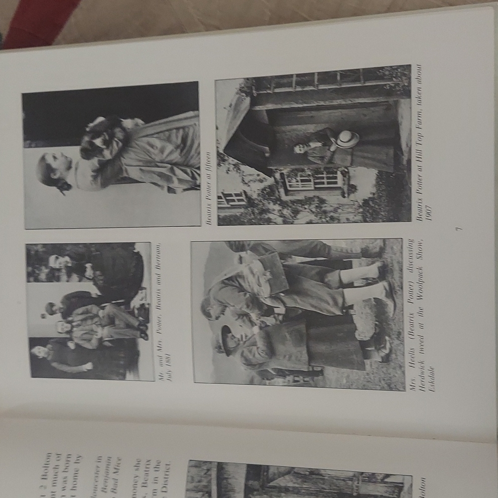 The Big Peter Rabbit Book - Picture 11 of 16